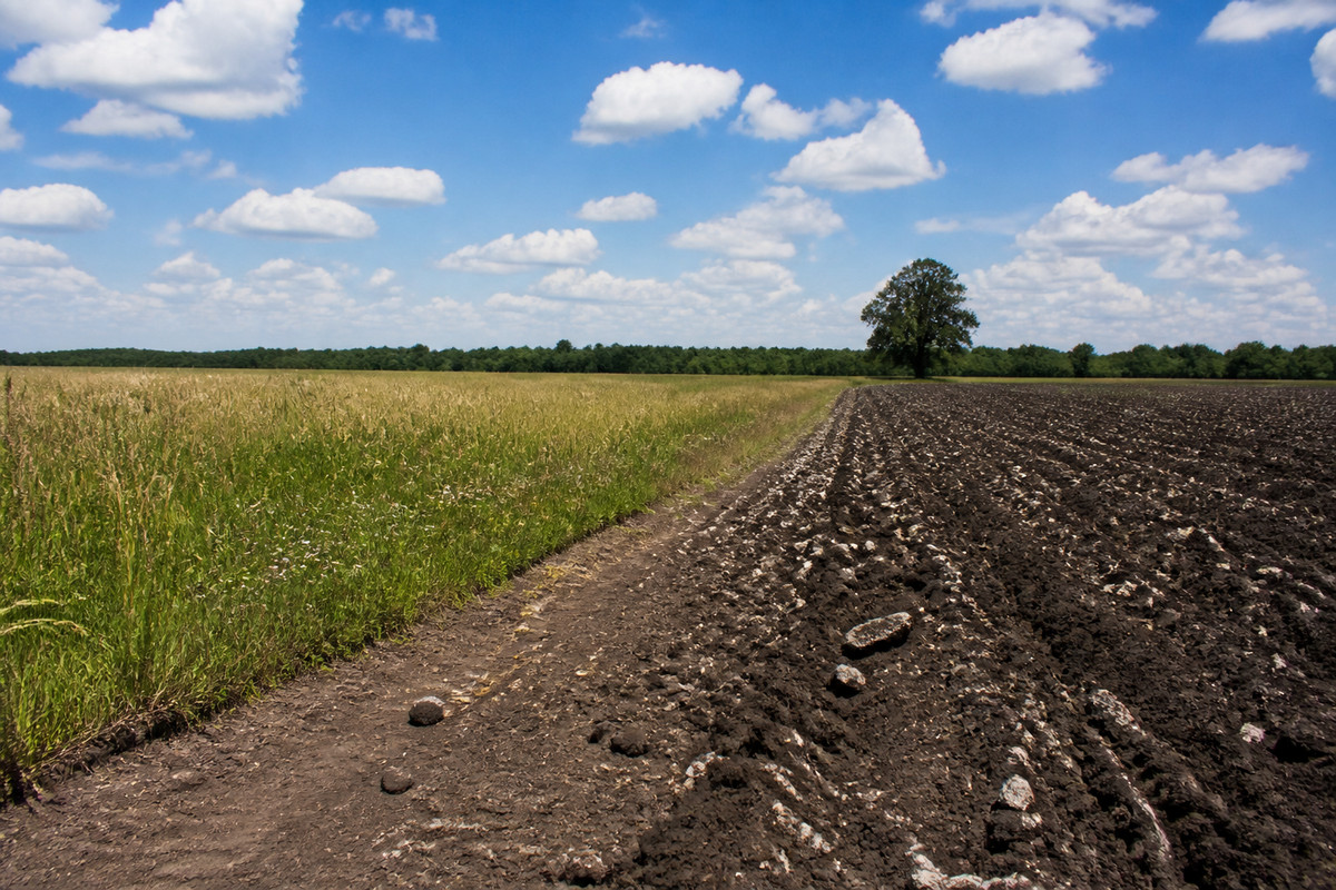 Open Black Belt prairie with a dark plowed field, a distant tree line, and a dirt turn row running toward it
